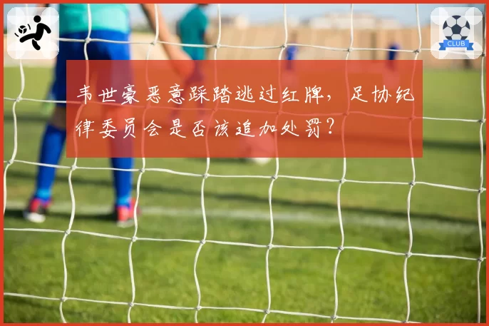 韦世豪恶意踩踏逃过红牌，足协纪律委员会是否该追加处罚？