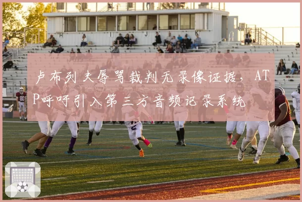 卢布列夫辱骂裁判无录像证据，ATP呼吁引入第三方音频记录系统