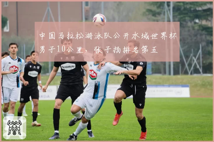 中国马拉松游泳队公开水域世界杯男子10公里,张子扬排名第五