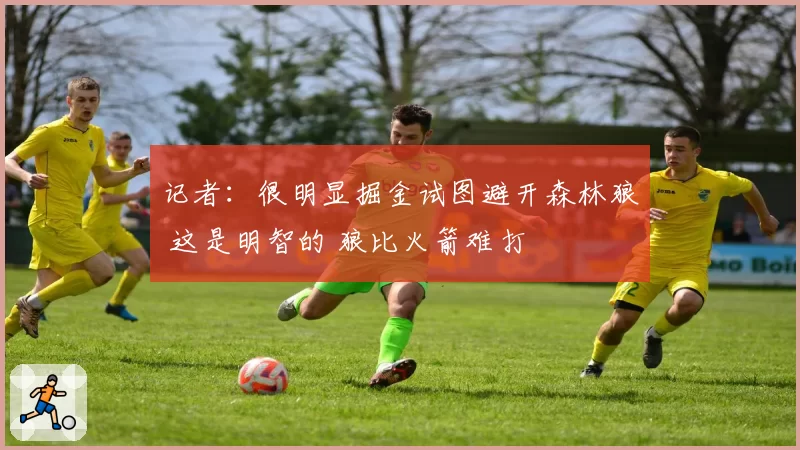 记者：很明显掘金试图避开森林狼 这是明智的 狼比火箭难打