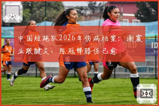 中国短跑队2026年伤病档案：谢震业跟腱炎，陈冠锋膝伤已愈