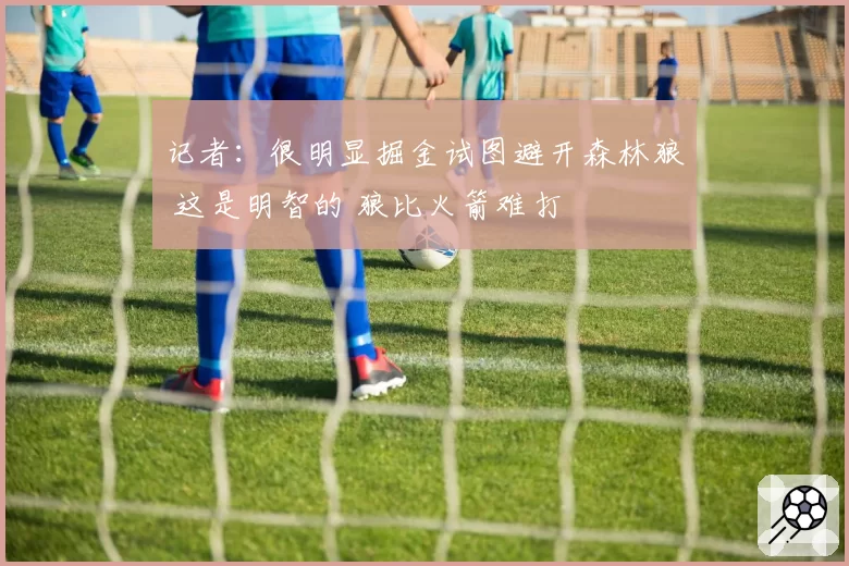 记者：很明显掘金试图避开森林狼 这是明智的 狼比火箭难打