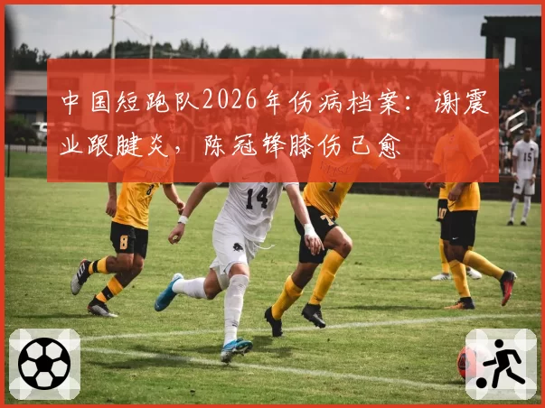 中国短跑队2026年伤病档案：谢震业跟腱炎，陈冠锋膝伤已愈